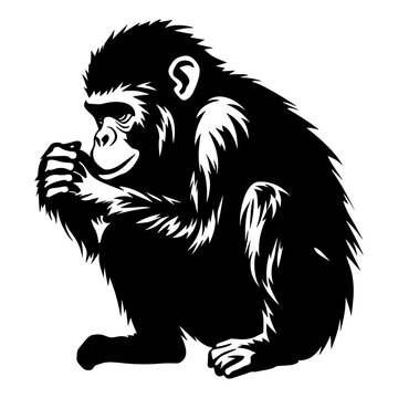 Monkey silhouette black and white vector design.