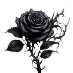 Fototapeten black rose with black thorny branch on transparent background Generative AI © mooxlabs