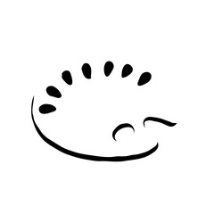 パレットシルエット１