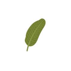 Obraz premium Big green tropical leaf flat style, vector illustration