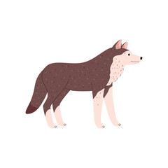 Cute standing wolf tundra animal side view flat style, vector illustration