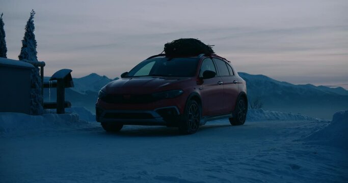 The lights on the Christmas tree tied to the roof of generic car are turning on