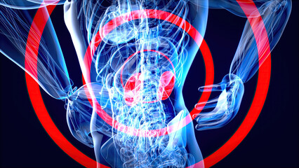Abstract motion design of backpain and kidneys
