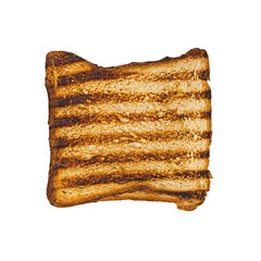Slice of burnt toasted whole grain bread isolated