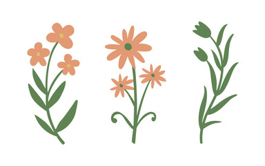Abstract wildflowers vector clipart. Spring illustration.