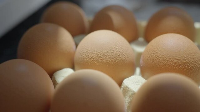 Fresh eggs in carton box at morning sun light with dew
