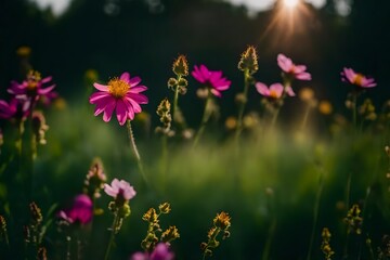 Obraz na płótnie Canvas flowers in the meadow