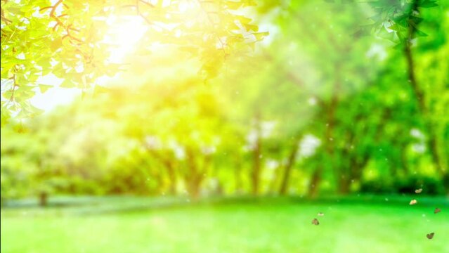 Nature cartoon background video with sunlight