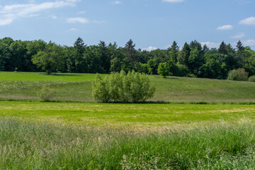 Landschaft Neulingen