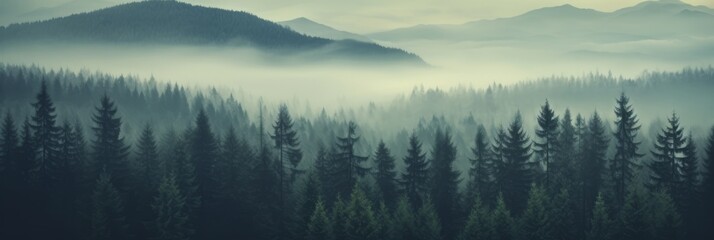 Foggy landscape with a dense spruce forest. Nostalgic and atmospheric scene - obrazy, fototapety, plakaty