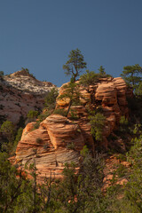 Southwest usa Zion National Park The main part of the park is Zion Canyon surrounded by the walls of the Deertrap, Cathedral and Majestic Mountain mountains. The Virgin River flows through the canyon.