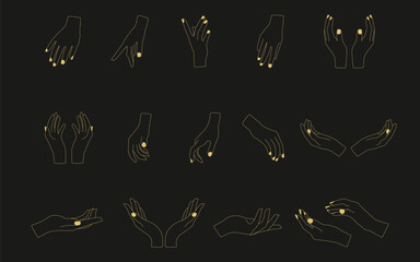 Hands poses. Set of different female hands poses.