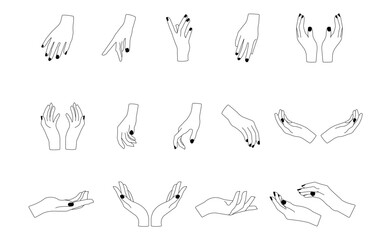 Hands poses. Set of different female hands poses.