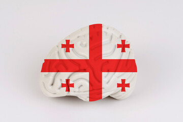 On a white background, a model of the brain with a picture of a flag - Georgia