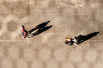 top aerial view of people walking in work time at pedestrian plaza in autumn season. with lighting...