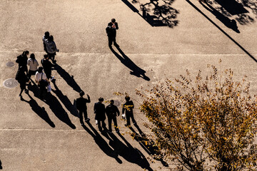 top aerial view of people walking in work time at pedestrian plaza in autumn season. with lighting...
