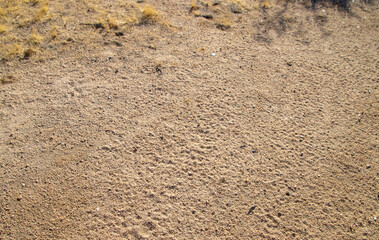 desert, sandy soil 