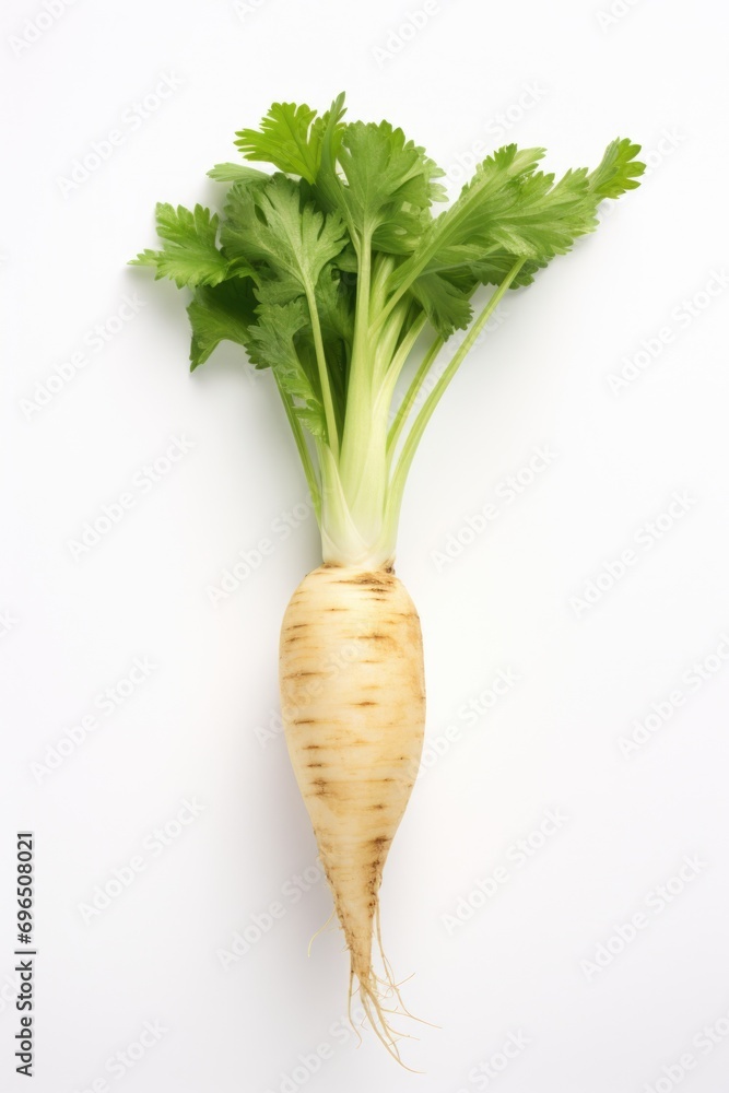 Poster A detailed close-up shot of a turnip placed on a white surface. This versatile image can be used in various contexts