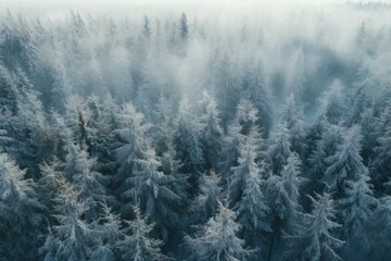 A stunning aerial view of a forest covered in a blanket of snow. Perfect for winter landscapes and nature scenes