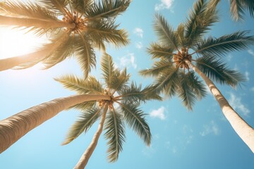 Fototapeta na wymiar Palm trees standing tall against a beautiful blue sky. Perfect for tropical vacation themes or summer travel concepts