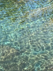 Fototapeta na wymiar Clear sea water with seaweed underwater 
