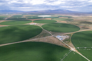 Aerial drone of green crop circles in fields of Idaho.  Shot on a drone in the western part of the United States.  Flat plain landscape of abstract backgrounds.