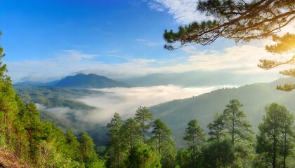landscape of mountains and pine forest with mist and fog at morning mystic panoramic view generative ai