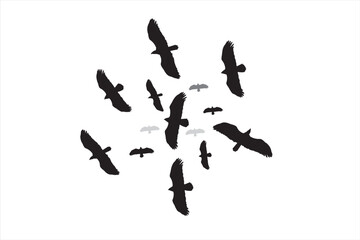 Eagles soaring in the sky. Vector images. White background. 