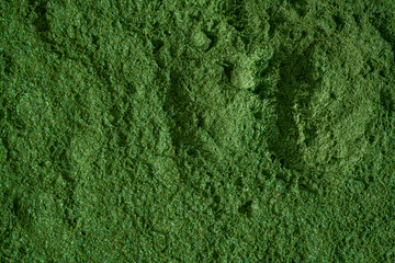Moss Green Glitter Pigment