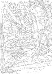 Drawing of broken trees in a ravine. Sketch with simple lines