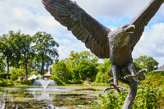 Bronze Eagle Sculpture in Park with Fountain Background