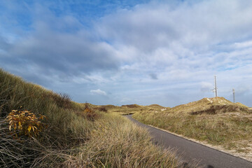 Krajobraz w Holandii Północnej, ścieżka rowerowa pośród wydm nad morzem.