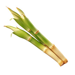 Natural and fresh LEMON GRASS STALKS isolated on transparent background
