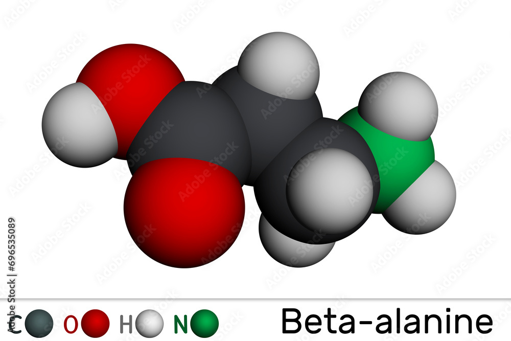 Sticker Beta-alanine or β-Alanine molecule. It is naturally occurring beta amino acid. Molecular model. 3D rendering