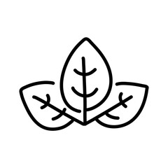Hand drawn leaf icon