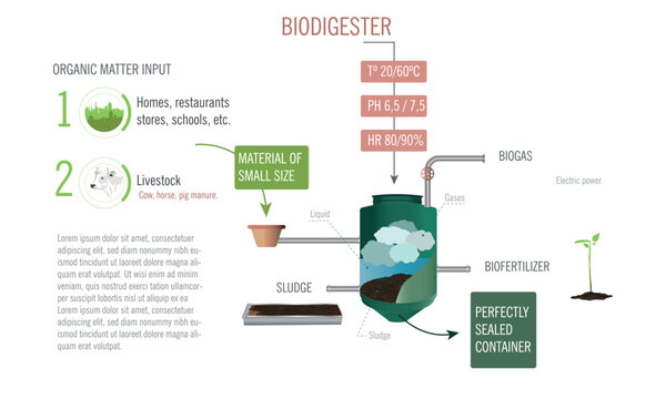 Infographic of a biodigester how it works and conditions for it.energy efficiency using organic matter.