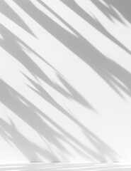 Obraz premium Plant shadow on a white wall, transparent background, overlay, PNG