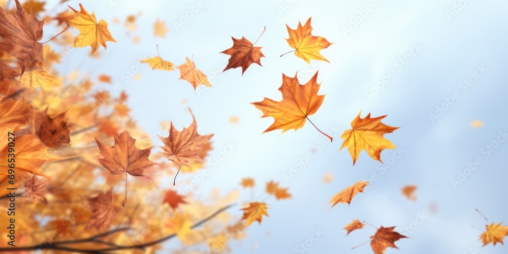 Poster a picture capturing a bunch of leaves floating in the air. perfect for autumn-themed designs and nat