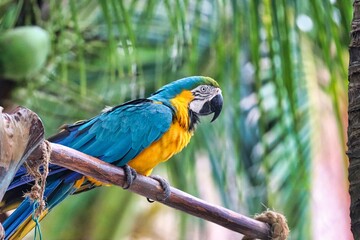 Costa Maya, Mexico
