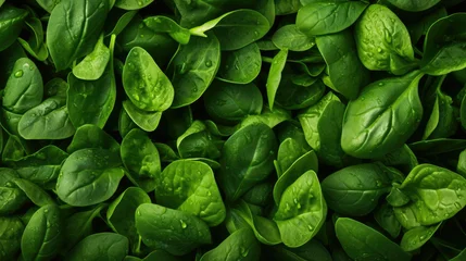 Deurstickers Background green food vegetable organic fresh raw plant leaves spinach nature healthy salad © SHOTPRIME STUDIO