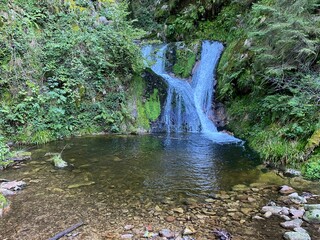 waterfall in the forest