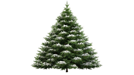 Christmas tree isolated on white or transparent background