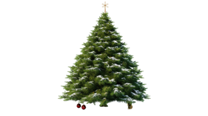 Christmas tree isolated on white or transparent background