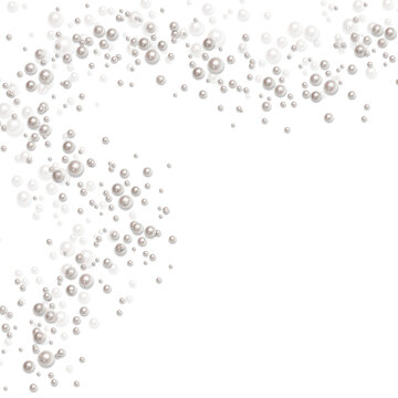 perl  frame without background christmas new year