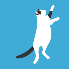The cat's playing. White cat with black tail and spots. Blue background, flat illustration. Vector image on bright background. Isolated object. 