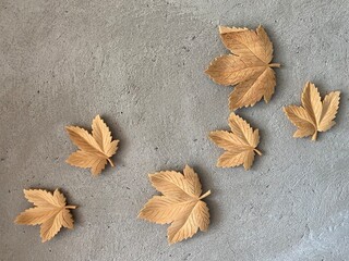autumn leaves on wooden background