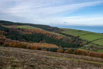 Obraz premium Landscape photo of the autumn colours on Porlock Common in Exmoor National Park