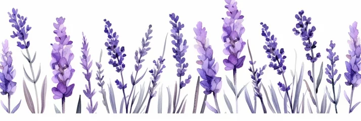 Fotobehang Blooming lavender bouquet isolated on white background, banner watercolor illustration © pundapanda
