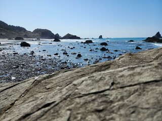 Water Sky Wood Coastal and oceanic landforms Beach Lake