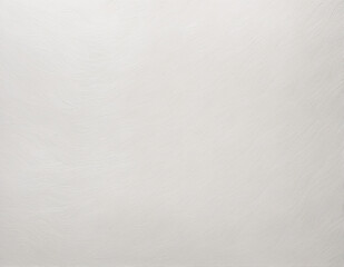 Neutral White Background